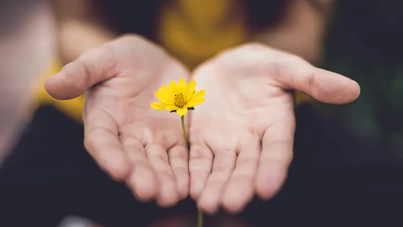 los mejores productos de limpieza industrial en mexico